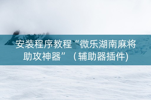 安装程序教程“微乐湖南麻将助攻神器”（辅助器插件)