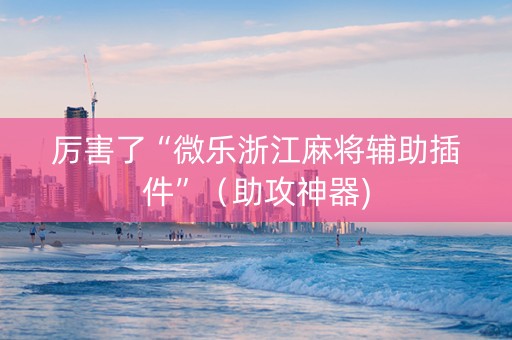 厉害了“微乐浙江麻将辅助插件”（助攻神器)