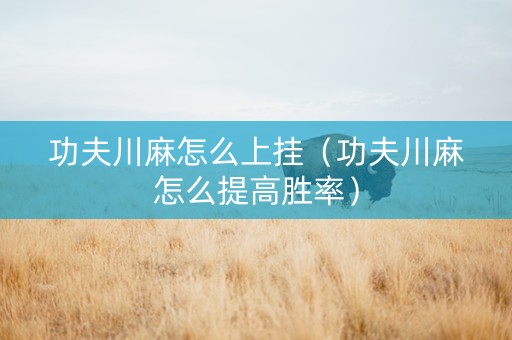 功夫川麻怎么上挂（功夫川麻怎么提高胜率）