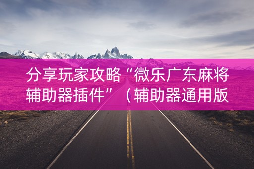 分享玩家攻略“微乐广东麻将辅助器插件”（辅助器通用版)