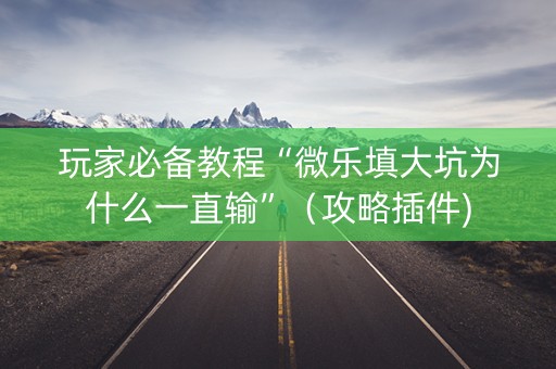 玩家必备教程“微乐填大坑为什么一直输”（攻略插件)
