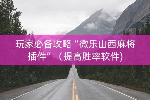 玩家必备攻略“微乐山西麻将插件”（提高胜率软件)