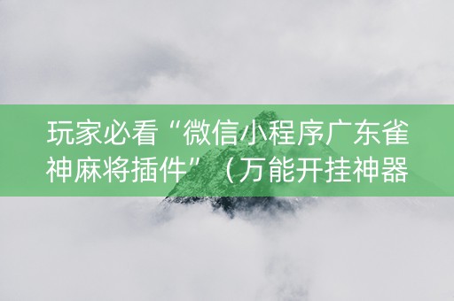 玩家必看“微信小程序广东雀神麻将插件”（万能开挂神器)
