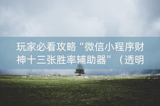 玩家必看攻略“微信小程序财神十三张胜率辅助器”（透明挂辅助器)