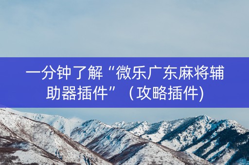 一分钟了解“微乐广东麻将辅助器插件”（攻略插件)