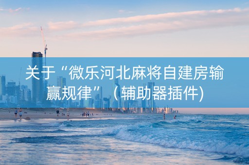 关于“微乐河北麻将自建房输赢规律”（辅助器插件)