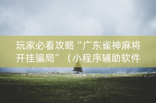 玩家必看攻略“广东雀神麻将开挂骗局”（小程序辅助软件)
