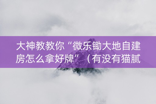 大神教教你“微乐锄大地自建房怎么拿好牌”（有没有猫腻)