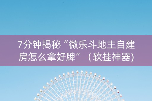 7分钟揭秘“微乐斗地主自建房怎么拿好牌”（软挂神器)
