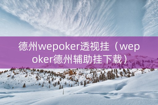 德州wepoker透视挂（wepoker德州辅助挂下载）
