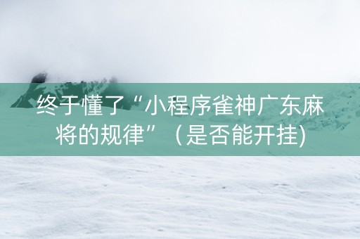 终于懂了“小程序雀神广东麻将的规律”（是否能开挂)
