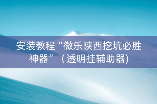 安装教程“微乐陕西挖坑必胜神器”（透明挂辅助器)