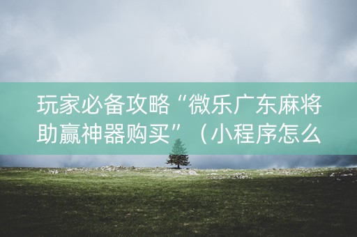 玩家必备攻略“微乐广东麻将助赢神器购买”（小程序怎么才会赢)
