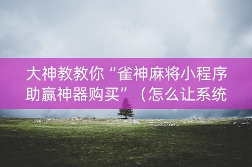 大神教教你“雀神麻将小程序助赢神器购买”（怎么让系统给你发好牌)
