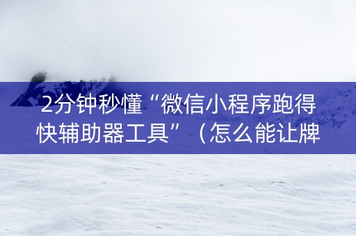2分钟秒懂“微信小程序跑得快辅助器工具”（怎么能让牌好一点)