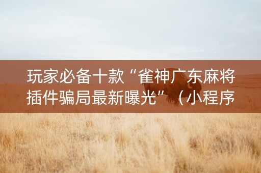 玩家必备十款“雀神广东麻将插件骗局最新曝光”（小程序控牌器)