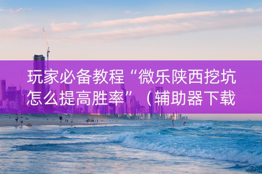 玩家必备教程“微乐陕西挖坑怎么提高胜率”（辅助器下载)