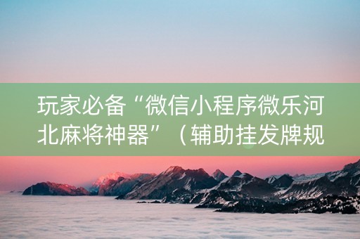 玩家必备“微信小程序微乐河北麻将神器”（辅助挂发牌规律)