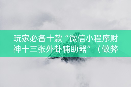 玩家必备十款“微信小程序财神十三张外卦辅助器”（做弊器软件下载)