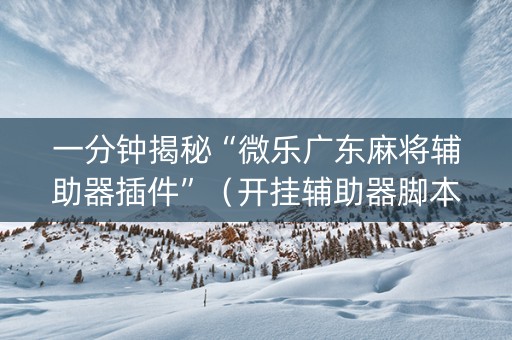 一分钟揭秘“微乐广东麻将辅助器插件”（开挂辅助器脚本)