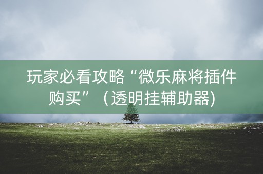 玩家必看攻略“微乐麻将插件购买”（透明挂辅助器)