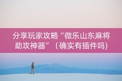 分享玩家攻略“微乐山东麻将助攻神器”（确实有插件吗)