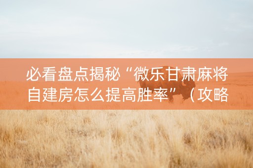必看盘点揭秘“微乐甘肃麻将自建房怎么提高胜率”（攻略插件)