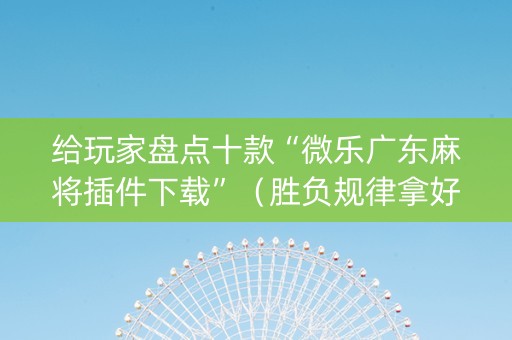 给玩家盘点十款“微乐广东麻将插件下载”（胜负规律拿好牌)