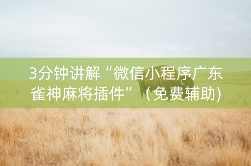 3分钟讲解“微信小程序广东雀神麻将插件”（免费辅助)