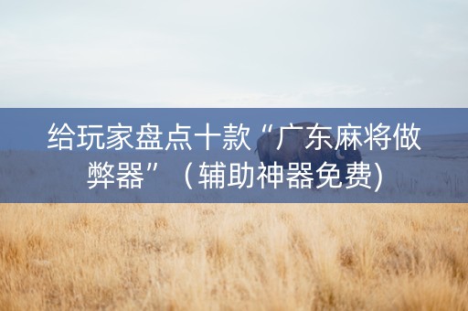 给玩家盘点十款“广东麻将做弊器”（辅助神器免费)