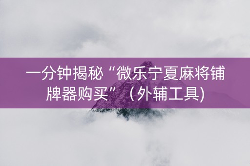 一分钟揭秘“微乐宁夏麻将铺牌器购买”（外辅工具)