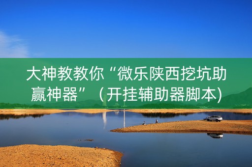 大神教教你“微乐陕西挖坑助赢神器”（开挂辅助器脚本)