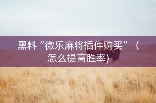 黑料“微乐麻将插件购买”（怎么提高胜率)