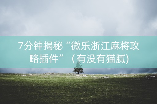7分钟揭秘“微乐浙江麻将攻略插件”（有没有猫腻)