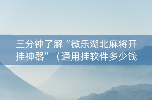 三分钟了解“微乐湖北麻将开挂神器”（通用挂软件多少钱)