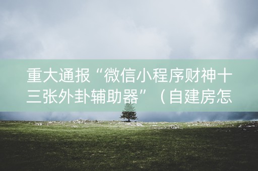 重大通报“微信小程序财神十三张外卦辅助器”（自建房怎么赢)