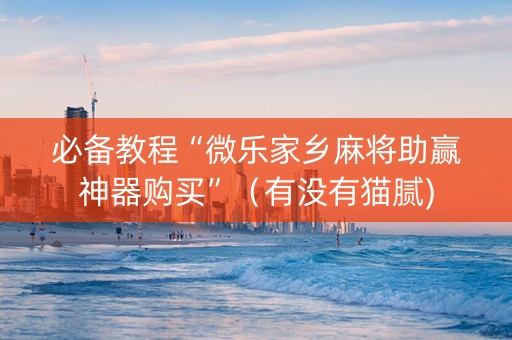 必备教程“微乐家乡麻将助赢神器购买”（有没有猫腻)