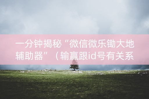 一分钟揭秘“微信微乐锄大地辅助器”（输赢跟id号有关系吗)