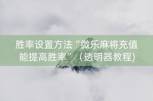胜率设置方法“微乐麻将充值能提高胜率”（透明器教程)
