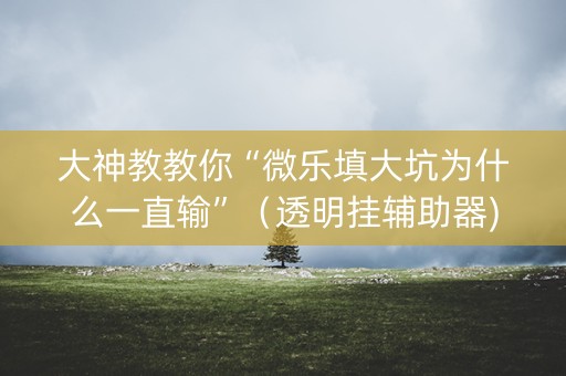 大神教教你“微乐填大坑为什么一直输”（透明挂辅助器)