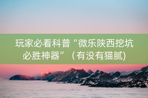 玩家必看科普“微乐陕西挖坑必胜神器”（有没有猫腻)