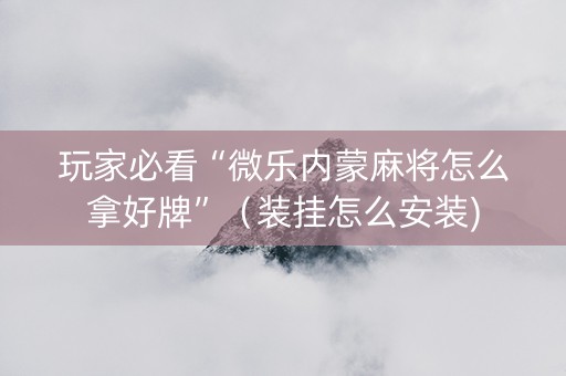 玩家必看“微乐内蒙麻将怎么拿好牌”（装挂怎么安装)