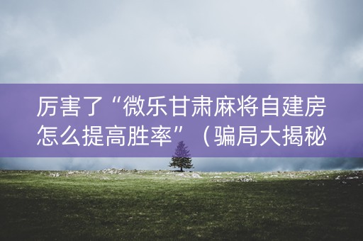 厉害了“微乐甘肃麻将自建房怎么提高胜率”（骗局大揭秘)
