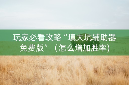 玩家必看攻略“填大坑辅助器免费版”（怎么增加胜率)