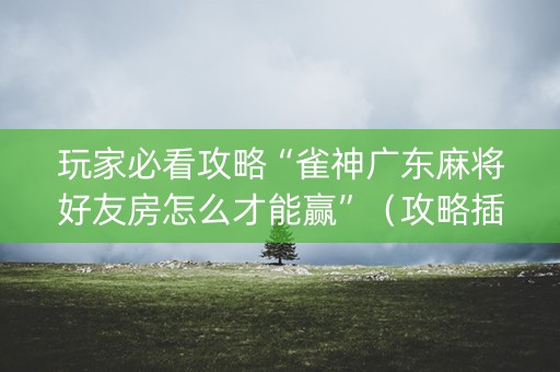玩家必看攻略“雀神广东麻将好友房怎么才能赢”（攻略插件)