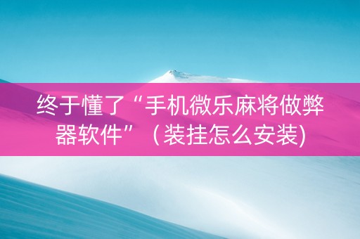 终于懂了“手机微乐麻将做弊器软件”（装挂怎么安装)