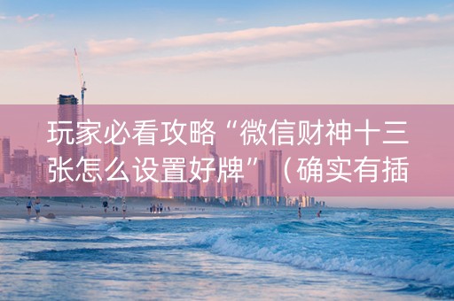 玩家必看攻略“微信财神十三张怎么设置好牌”（确实有插件吗)