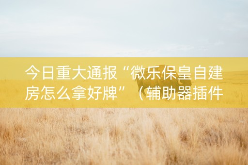 今日重大通报“微乐保皇自建房怎么拿好牌”（辅助器插件)