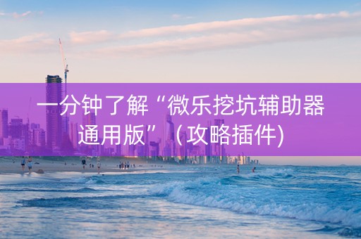 一分钟了解“微乐挖坑辅助器通用版”（攻略插件)