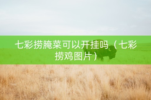 七彩捞腌菜可以开挂吗（七彩捞鸡图片）